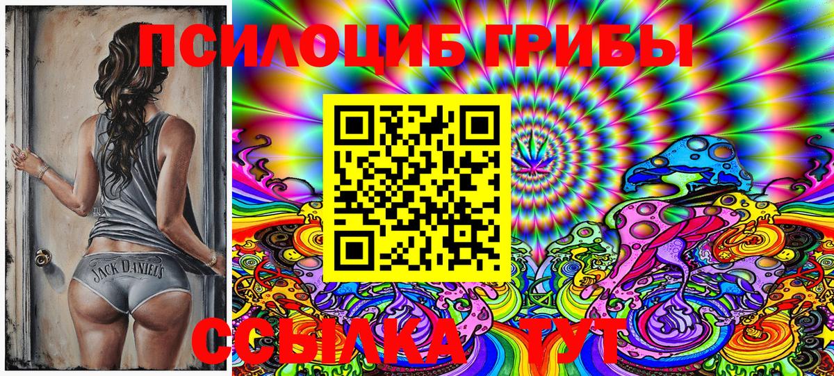 Псилоцибиновые грибы Psilocybine cubensis Ялуторовск