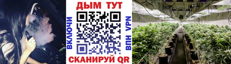 Бошки марихуана AK-47 купить наркоту Ялуторовск